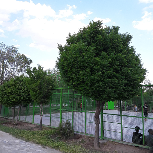 عکس پارک امام رضا (ع)