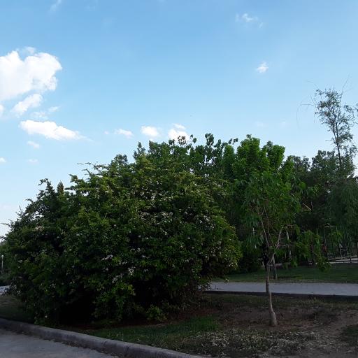 عکس پارک امام رضا (ع)