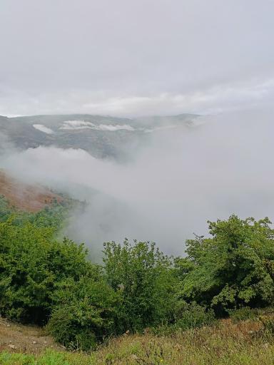 عکس ویرو