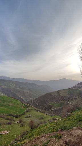 عکس ویرو