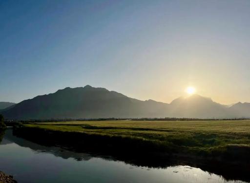 عکس سراب گلها