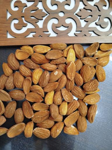 عکس بادرام تجارت توکان