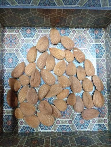 عکس بادرام تجارت توکان