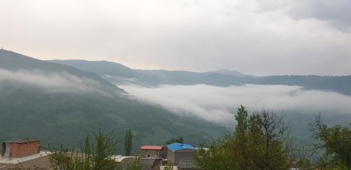 عکس ویرو