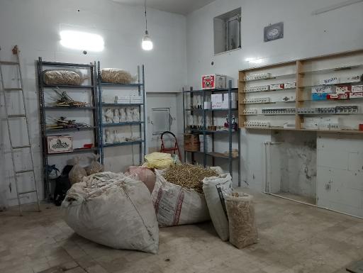 عکس دخانیات جامی