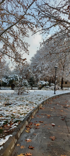 عکس پارک بازی 600 دستگاه