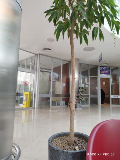 عکس دفتر کارشناس بیمه نیروهای مسلح ( ساتبا )