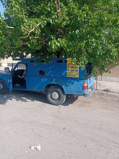 عکس باربری اژدری