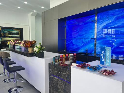 عکس نمایندگی مدیران خودرو (۹۲۴۹ پیکامی)