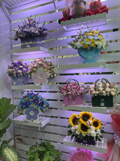 عکس گلستان گلفام