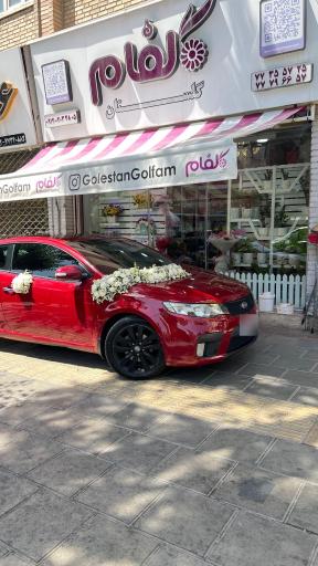 گلستان گلفام