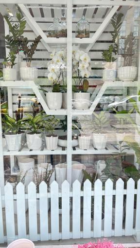 گلستان گلفام