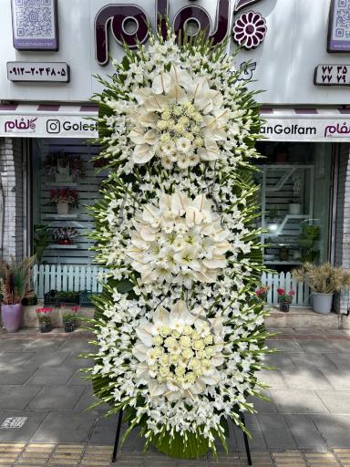 گلستان گلفام