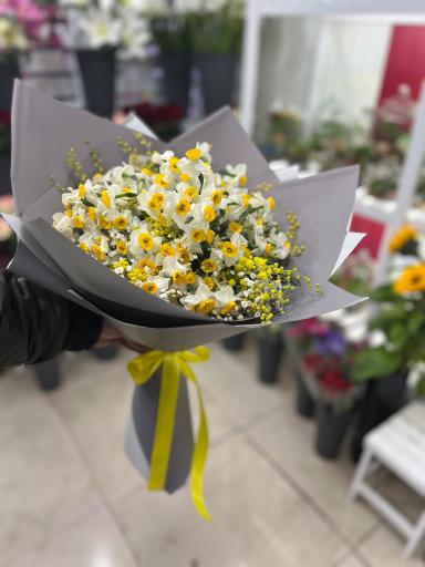 گلستان گلفام