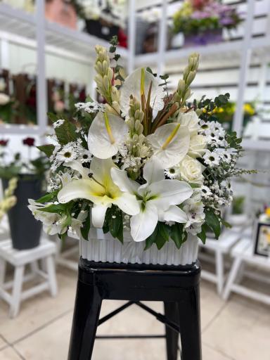 عکس گلستان گلفام