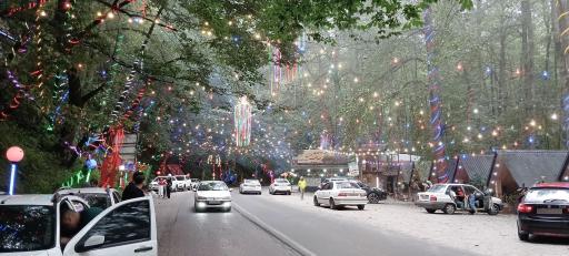 عکس جنگل عباس آباد