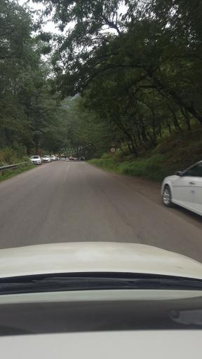 عکس جنگل عباس آباد