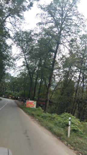 عکس جنگل عباس آباد