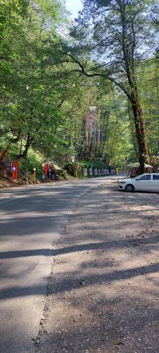 عکس جنگل عباس آباد