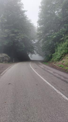 عکس جنگل عباس آباد