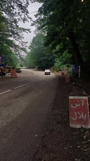 عکس جنگل عباس آباد