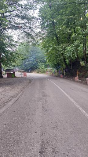 عکس جنگل عباس آباد