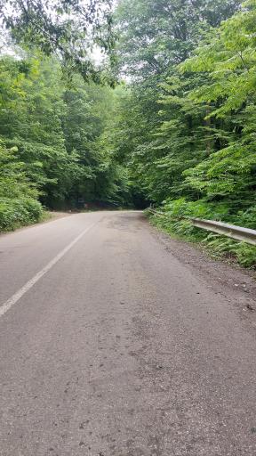 عکس جنگل عباس آباد