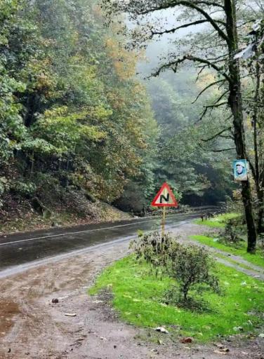 عکس جنگل عباس آباد