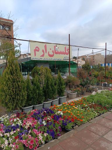 عکس گلفروشی ارم