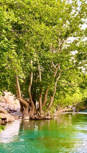 عکس رودخانه ماربره