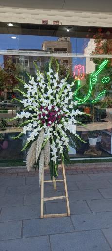 عکس گلفروشی ترگل