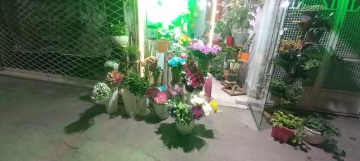 عکس گلفروشی ترگل