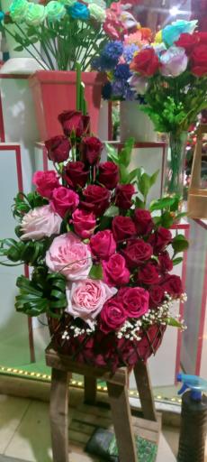 عکس گلفروشی ترگل