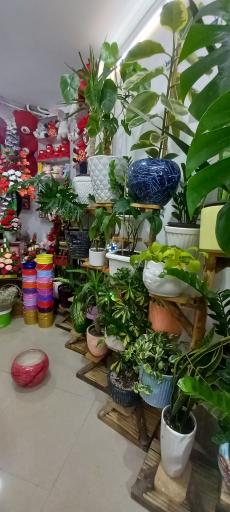 عکس گلفروشی ترگل