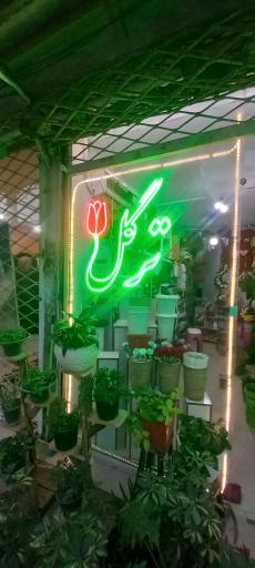 عکس گلفروشی ترگل