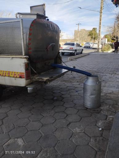 عکس لبنیات یاس