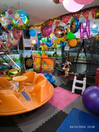 عکس خانه بازی فینگیلی‌ها