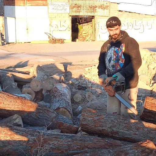 کارگاه چوب بری بیدکی بجنورد