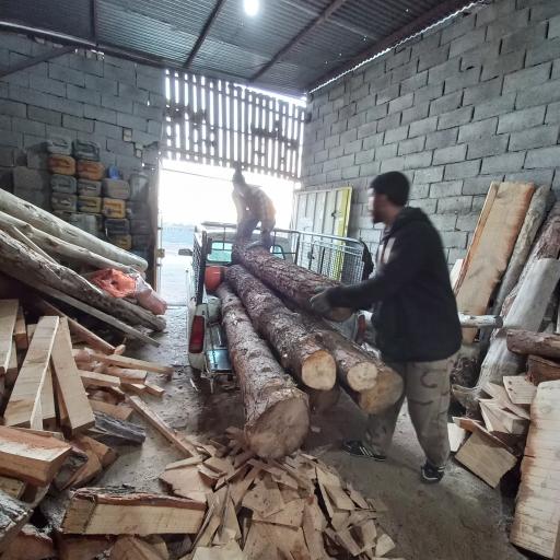 کارگاه چوب بری بیدکی بجنورد