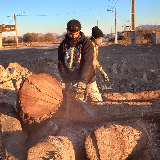 کارگاه چوب بری بیدکی بجنورد