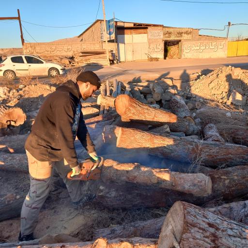 کارگاه چوب بری بیدکی بجنورد