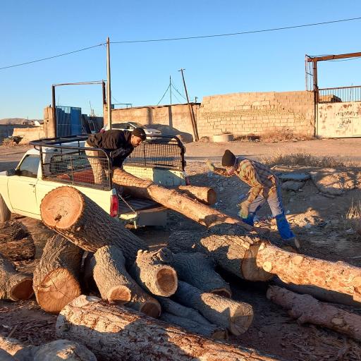 عکس کارگاه چوب بری بیدکی بجنورد