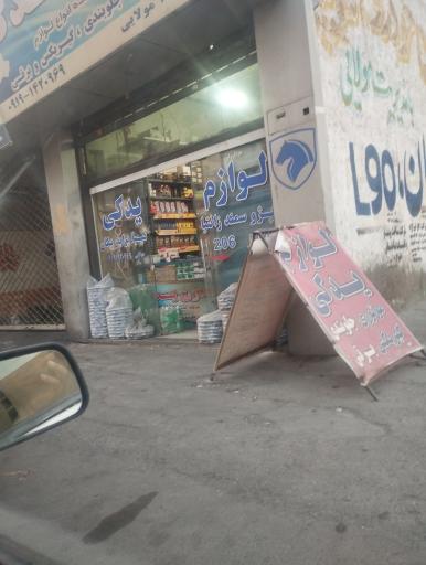 عکس مدرن یدک