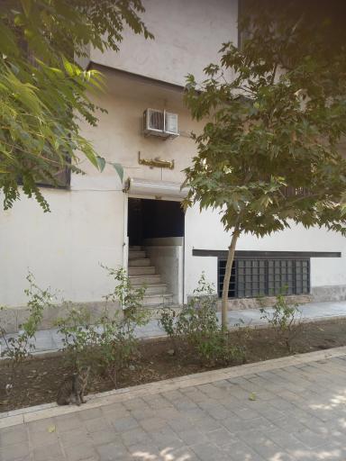 عکس آموزشگاه موسیقی نکیسا