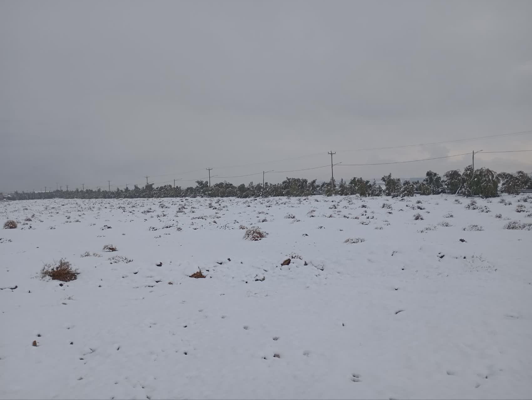 عکس پارک جنگلی خزاق 