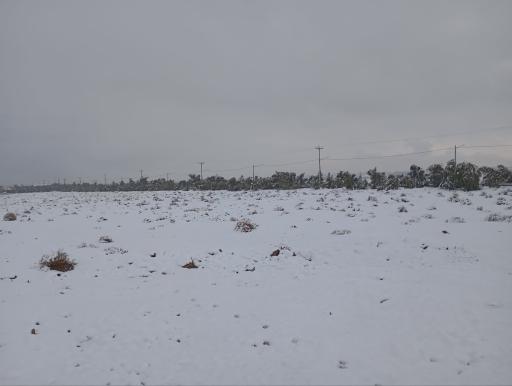 عکس پارک جنگلی خزاق 