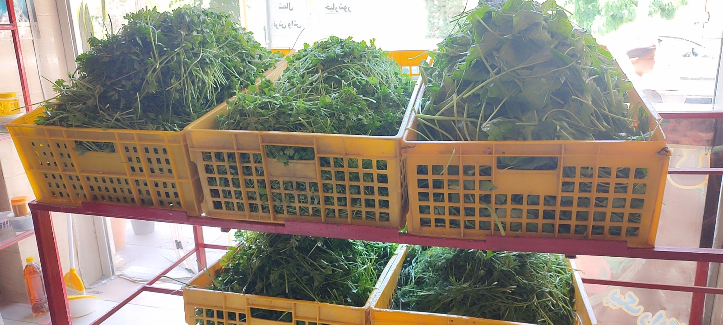 عکس سبزیجات آماده گل ریحان