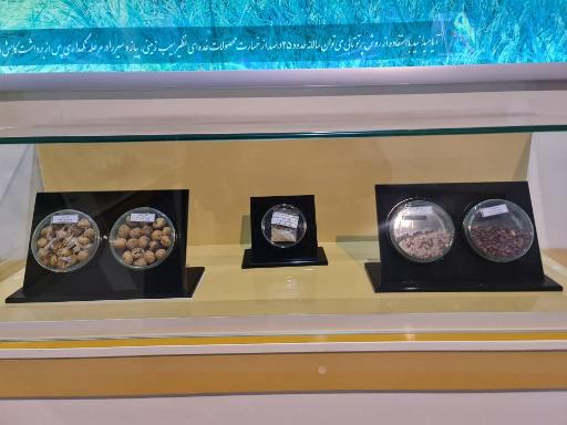 عکس باغ موزه دفاع مقدس