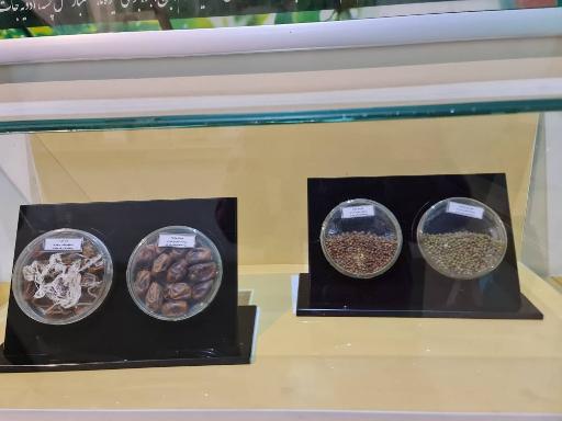 عکس باغ موزه دفاع مقدس