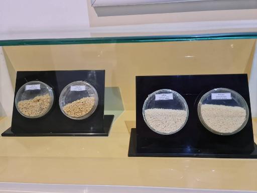 عکس باغ موزه دفاع مقدس